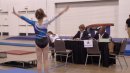 gymnastics judges