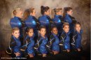 Meet the Michigan Wolverines 2012