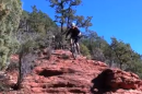 Danny Pate, Kelly Emmett Shred (Sedona, AZ)