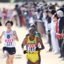 Mathathi Marthin ChibaXC12
