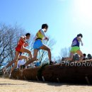 TreesRear1 ChibaXC12