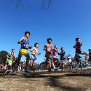 Wide1 ChibaXC12