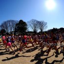 Wide1a ChibaXC12