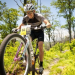 Work With CyclingDirt This Summer! (Internship Program) 