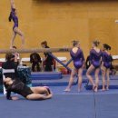 34 views