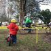 IMG 2616