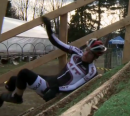 Must Watch! (Seriously Dyude) Daniel Jacobs - Highlights - Ice Weasels 2011
