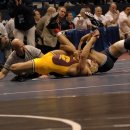 28 views