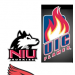 State of Illinois Classic
