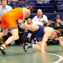 324 views