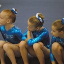Vault Line Up