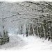 snow
