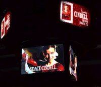 Candace Cindell