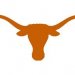 Texas Gymnastics Conference State Championships