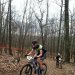 IMG 4241