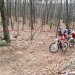 IMG 4248