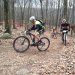 IMG 4254