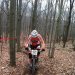 IMG 4262