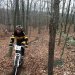 IMG 4266