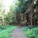 Leavitt Father's Day 5k Trail Run and Walk