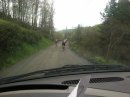 IMG 4625