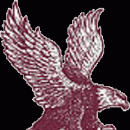 Lock Haven Spring Brawl Folkstyle Duals