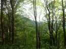 IMG 4764