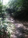IMG 4768