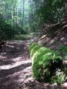 IMG 4770
