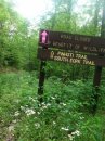 IMG 4775