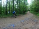IMG 4781
