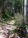 IMG 4782