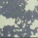 145 views