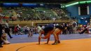 DSC00531