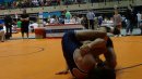 DSC00536