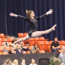 282 views