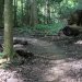DSC00522
