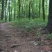 DSC00585