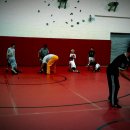 63 views