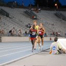 419 views