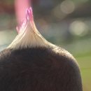365 views
