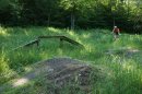 DSC00881