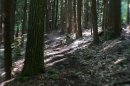 DSC00888