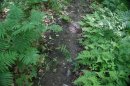 DSC00910