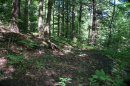DSC00913