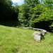 DSC00946