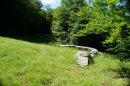 DSC00946