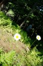 DSC00947
