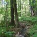 DSC01766
