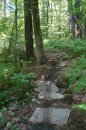 DSC01766
